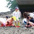 대도 어촌체험휴양마을 이미지