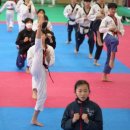 글로벌 태권도장 이미지