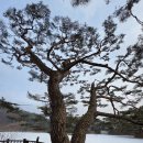 의림지-02 이미지