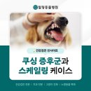 힐링동물병원 &  건강검진센터 이미지