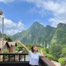 동강할미꽃펜션 | 강원도 정선 숙소 / 뷰가 끝내주는 동강할미꽃펜션 가족여행 추천 후기 ♥