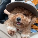 태수농장2 | 여름아가지마ㅜㅜ