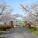 노미목장 이미지