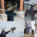 👛 ‘트친’이랑 몽골에 말 타러 간 내가, 귀국 후 웹툰 작가로 데뷔?