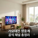 "유튜브 켰다가 낭패 봤어요" 2026 가요대전 썸머 생중계 채널과 다시보기 정리