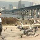 얼리버드