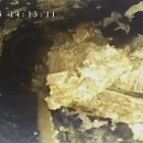 인천가톨릭학원마리스텔라 이미지