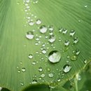 보석1로 이미지