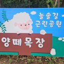 늘솔길근린공원양떼목장 이미지