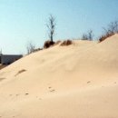 해비치 모텔 이미지