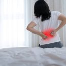 의정부고고마취통증의학과의원 | 등통증 이유가 뭘까 ? 요즘 자꾸 신경 쓰이는 등통증 기록