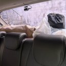 흥덕4로 15번길6 | 강원도 영월 뷰좋은 구름품은캠핑장 15번 데크, 2박 3일 (1)