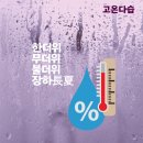 장하로 주변 이미지