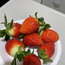 부안낙지마당 - 안산시 단원구 선부광장1로 32 | 맹장수술 후기, 씨티병원 입원 후기, 씨티병원 병원밥 후기, 매일매일 배달음식, 낙지마당, 산마을...