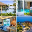 뉴월드세탁 이미지