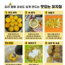고흥야채상회 | 집에서 유자청 만들기│고흥 유자 5kg 대량 생산│단체 선물로 수제 유자청 추천
