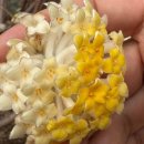 축산사업소 | 서산 문수사, 개심사