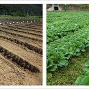 호수농장2 이미지