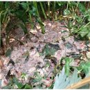 정부농장 이미지