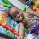 내산체육관 이미지