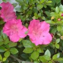 승준농장 이미지