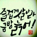 원참치 이미지