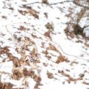 덩쿨농장 이미지