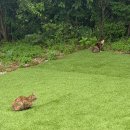 스테이복 이미지