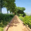 회산백련지 소공원 이미지