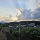 종신농장 이미지