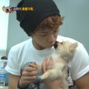 스타애견 이미지