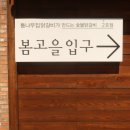 우리고을춘천닭갈비