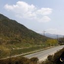 곡성-225 Daum카페