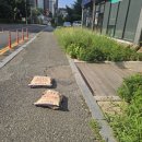 코아루홈마트 Daum카페