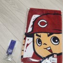 피스스포츠 | 일본여행 히로시마 홈경기 직관! 에디온 피스 윙 히로시마 방문 후기