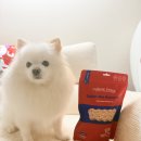 덴탈팜 | 강아지간식추천, 네이처트레이스 스파이더웹 강아지덴탈껌