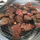 태백하늘소 이미지