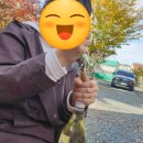 솔바람오토캠핑장 이미지