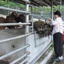 서당골농장 이미지