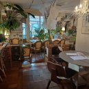 샤샤빈티지 이미지