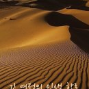 어머니의 편지-그토록 붉은 사랑中, 임태주 이미지