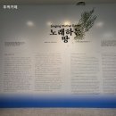 노래하는 땅 | 부산현대미술관 전시실 3,4,5 노래하는 땅 관람 후기