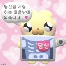 체지방률 15% 넘는 돼지의 1월
