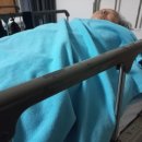 뽀드독 | 인공관절수술후재활4개월1주차면서ㆍ낙상으로 대퇴골골절수술3일차에요ㆍ낙상이 의외로 진짜많고 넘어진...