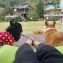 네이처펜션 이미지