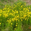 이현동5 이미지