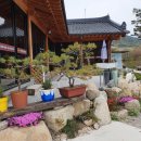 남덕유산현대한옥펜션 이미지