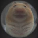 한국원자력 안전기술원 매점 | [한국원자력안전기술원 청년인턴] 지원 후기