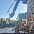 남원읍-99 | 제주 카페: 푸딩에 진심인 서귀포 수제 푸딩 카페 [내노키 카페]