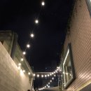 마틴 (matin) 이미지